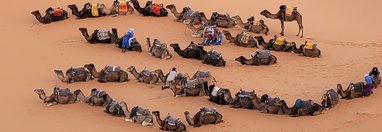 Souvenir du voyage de Sandrine, Maroc