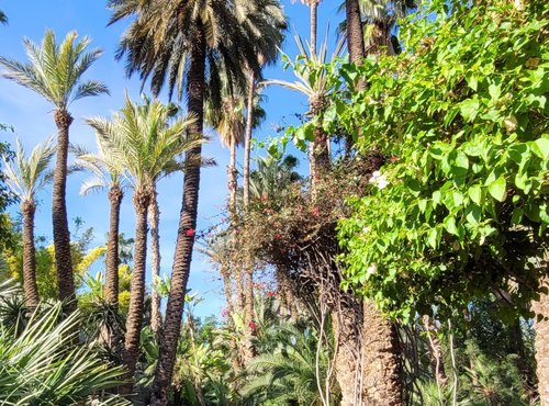 Souvenir du voyage de Sandrine, Maroc
