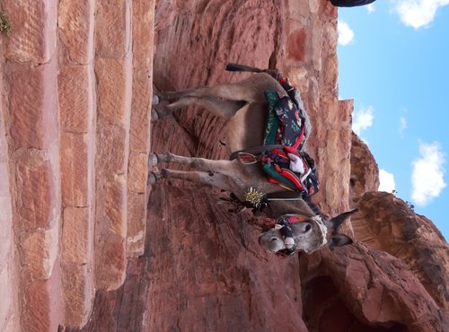 Souvenir du voyage de Jean Pierre, Jordanie