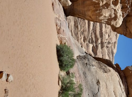 Souvenir du voyage de Jean Pierre, Jordanie