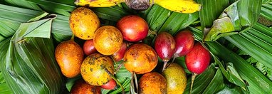 Souvenir du voyage de Karine, Indonésie