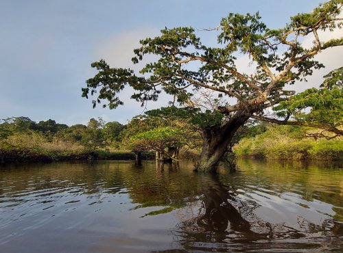 Souvenir du voyage de Philippe, Equateur