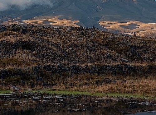 Souvenir du voyage de Philippe, Equateur