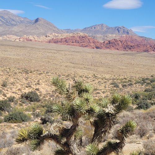 Souvenir du voyage de Philippe, Etats Unis