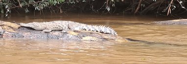 Souvenir du voyage de Anthony, Costa Rica