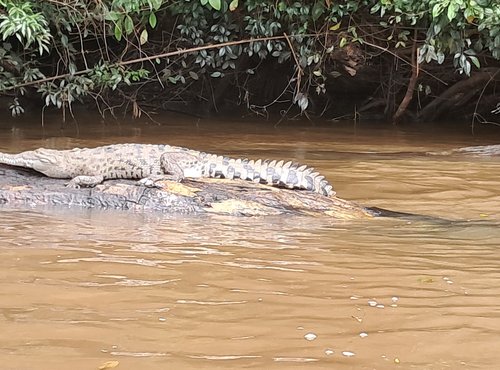 Souvenir du voyage de Anthony, Costa Rica