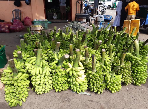 Souvenir du voyage de Pascale, Sri Lanka