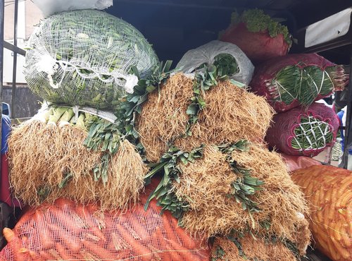 Souvenir du voyage de Pascale, Sri Lanka