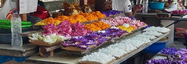 Souvenir du voyage de Pascale, Sri Lanka