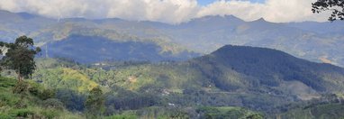 Souvenir du voyage de Jérôme, Sri Lanka