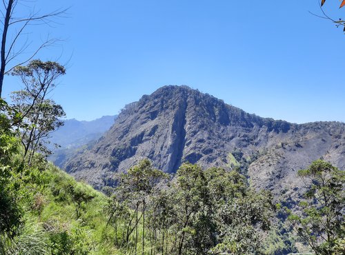 Souvenir du voyage de Jérôme, Sri Lanka