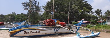 Souvenir du voyage de Jérôme, Sri Lanka