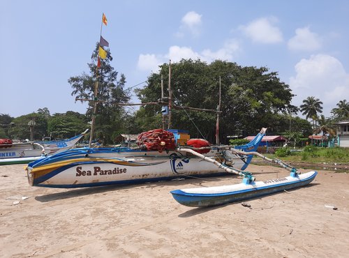 Souvenir du voyage de Jérôme, Sri Lanka
