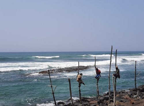 Souvenir du voyage de Jérôme, Sri Lanka