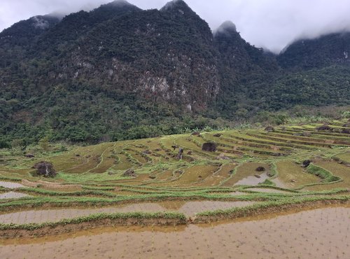 Souvenir du voyage de Leslie, Vietnam