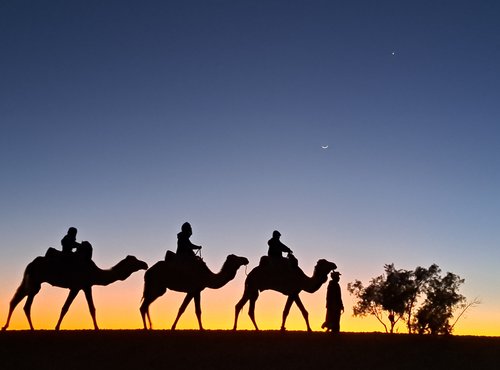Souvenir du voyage de Noemie, Maroc