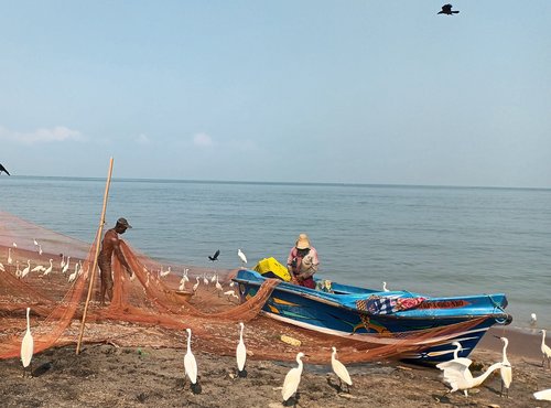 Souvenir du voyage de Danielle, Sri Lanka