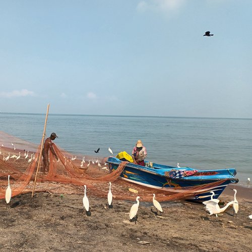 Souvenir du voyage de Danielle, Sri Lanka