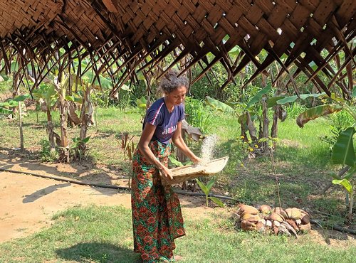 Souvenir du voyage de Danielle, Sri Lanka
