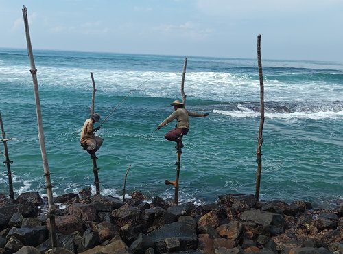 Souvenir du voyage de Danielle, Sri Lanka