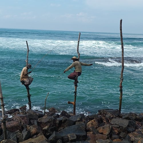 Souvenir du voyage de Danielle, Sri Lanka