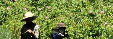 Souvenir du voyage de Sophie, Maroc