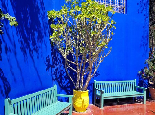 Souvenir du voyage de Sophie, Maroc