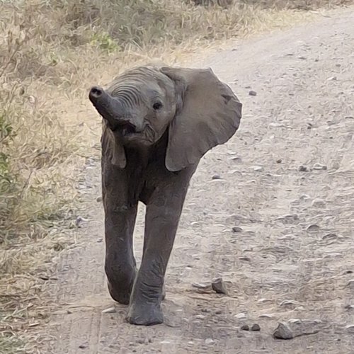 Souvenir du voyage de Anthony, Tanzanie