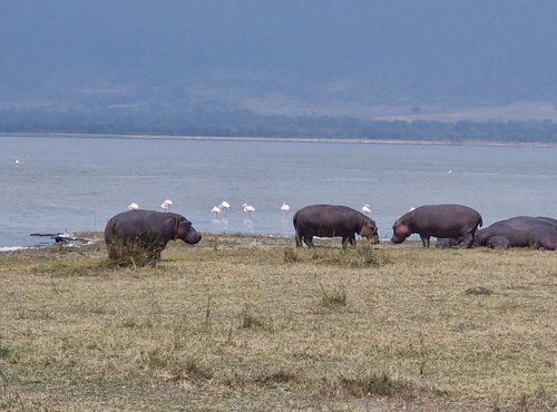 Souvenir du voyage de Anthony, Tanzanie
