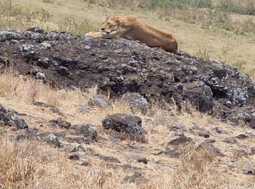 Souvenir du voyage de Anthony, Tanzanie