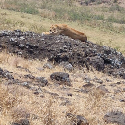 Souvenir du voyage de Anthony, Tanzanie