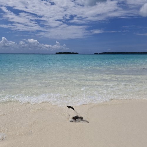 Souvenir du voyage de Anthony, Tanzanie