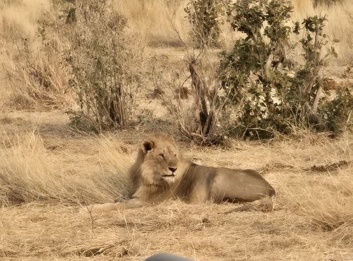Souvenir du voyage de Emilie, Namibie