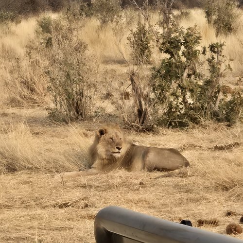 Souvenir du voyage de Emilie, Namibie