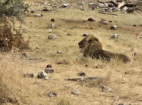 Souvenir du voyage de Emilie, Namibie