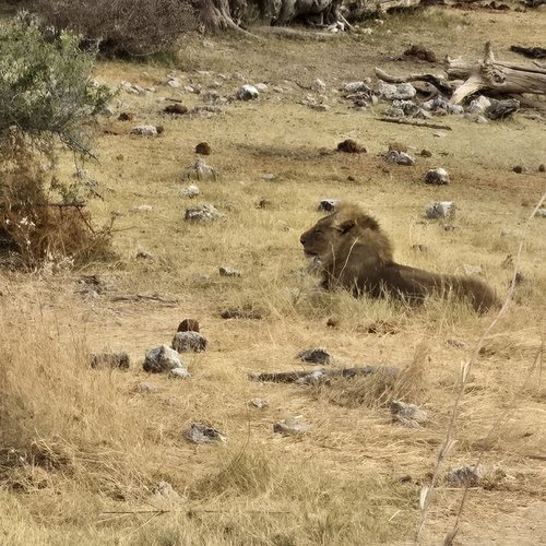 Souvenir du voyage de Emilie, Namibie