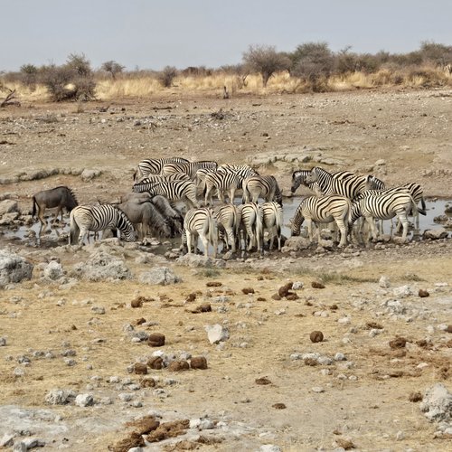 Souvenir du voyage de Emilie, Namibie