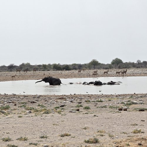 Souvenir du voyage de Emilie, Namibie