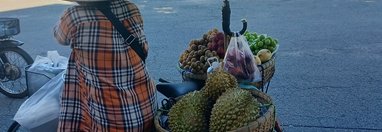Souvenir du voyage de Patrick, Vietnam