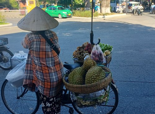 Souvenir du voyage de Patrick, Vietnam