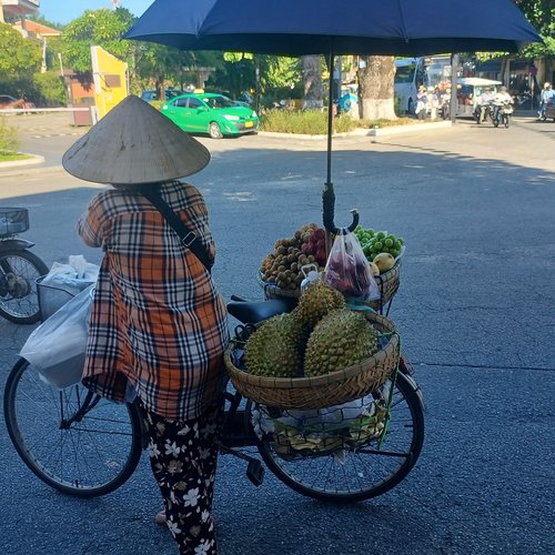 Souvenir du voyage de Patrick, Vietnam