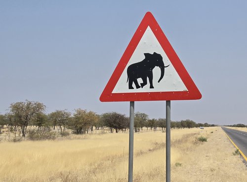 Souvenir du voyage de Emilie, Namibie