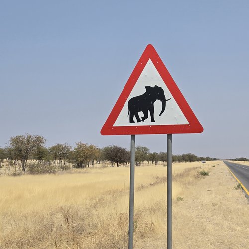 Souvenir du voyage de Emilie, Namibie