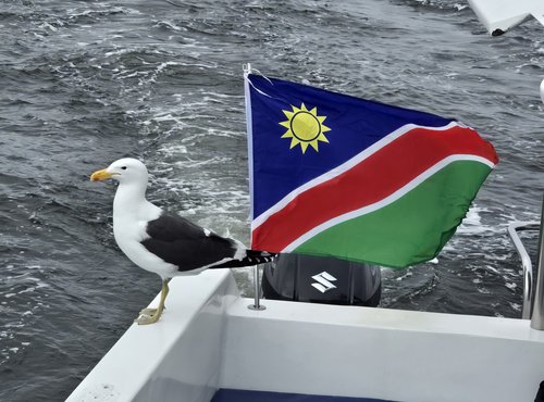 Souvenir du voyage de Emilie, Namibie