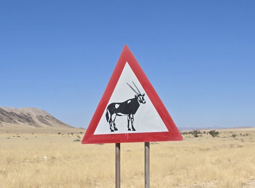Souvenir du voyage de Emilie, Namibie