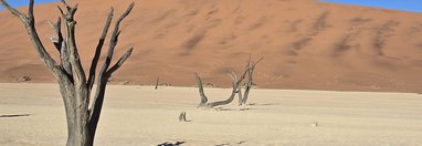 Souvenir du voyage de Emilie, Namibie
