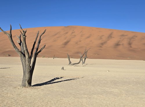 Souvenir du voyage de Emilie, Namibie