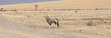 Souvenir du voyage de Emilie, Namibie