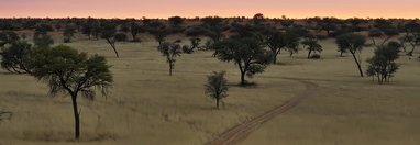 Souvenir du voyage de Emilie, Namibie