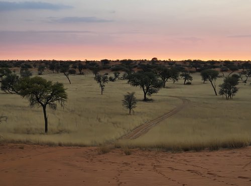 Souvenir du voyage de Emilie, Namibie